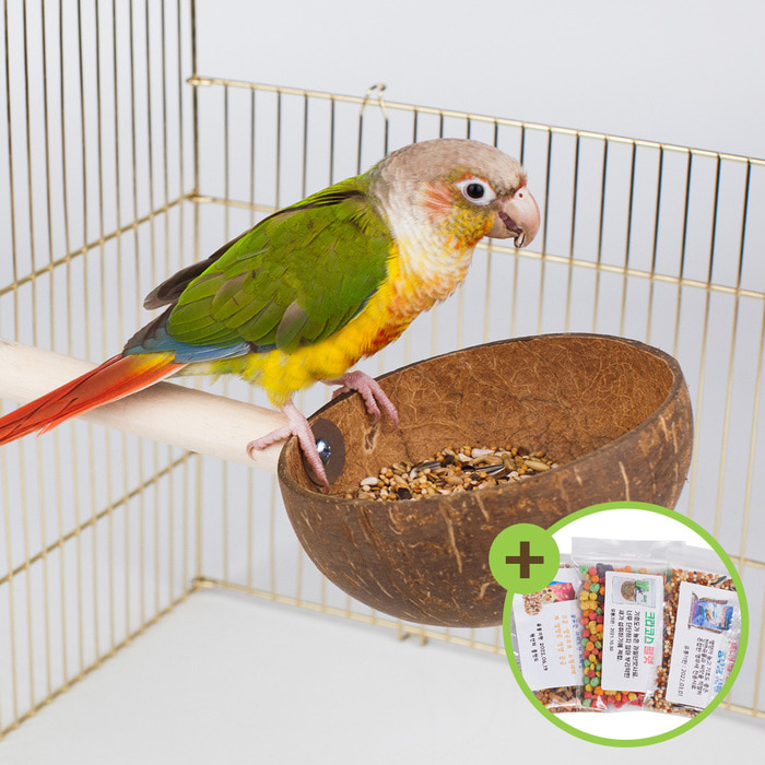 천연 다용도 코코넛 모이통 횃대 앵무새횟대 장난감