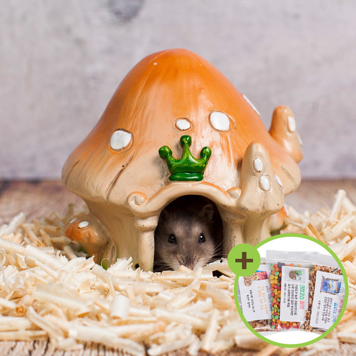 햄스터 왕관버섯 은신처 소동물 장난감 침실 TL002H