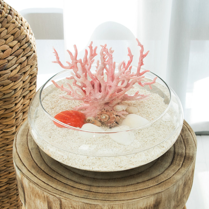 원형 유리 수반세트(중) 핑크산호 인테리어 테라리움