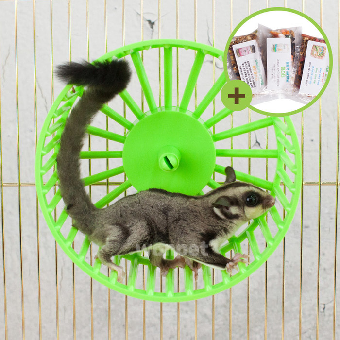 소동물 쳇바퀴 중형 (K-41) 다람쥐바퀴 햄스터쳇바퀴