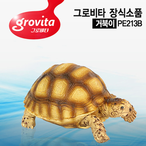 그로비타 설가타거북 어항장식 수족관 장식품 PE213B