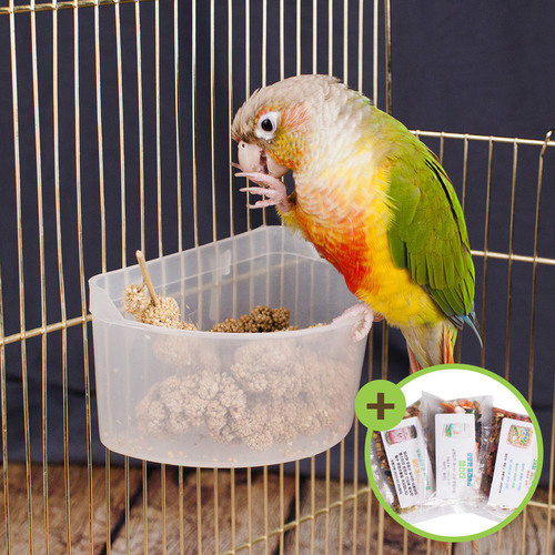 반달모이통(대) 앵무새 모이통 사료통 급식기 급수기