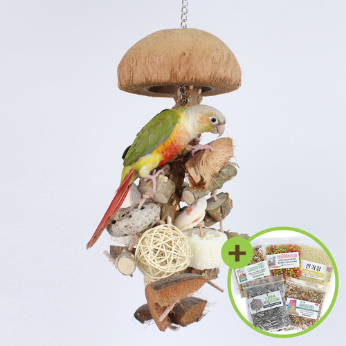 천연 코코넛 파라솔 앵무새 장난감 나무블럭 오징어뼈