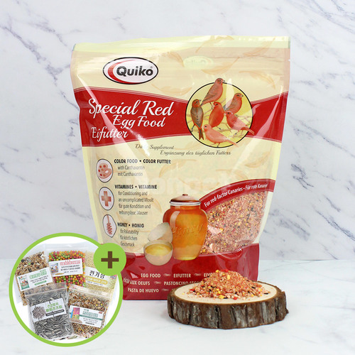 퀴코 스페셜 레드 에그푸드 1kg 앵무새 단백질 간식